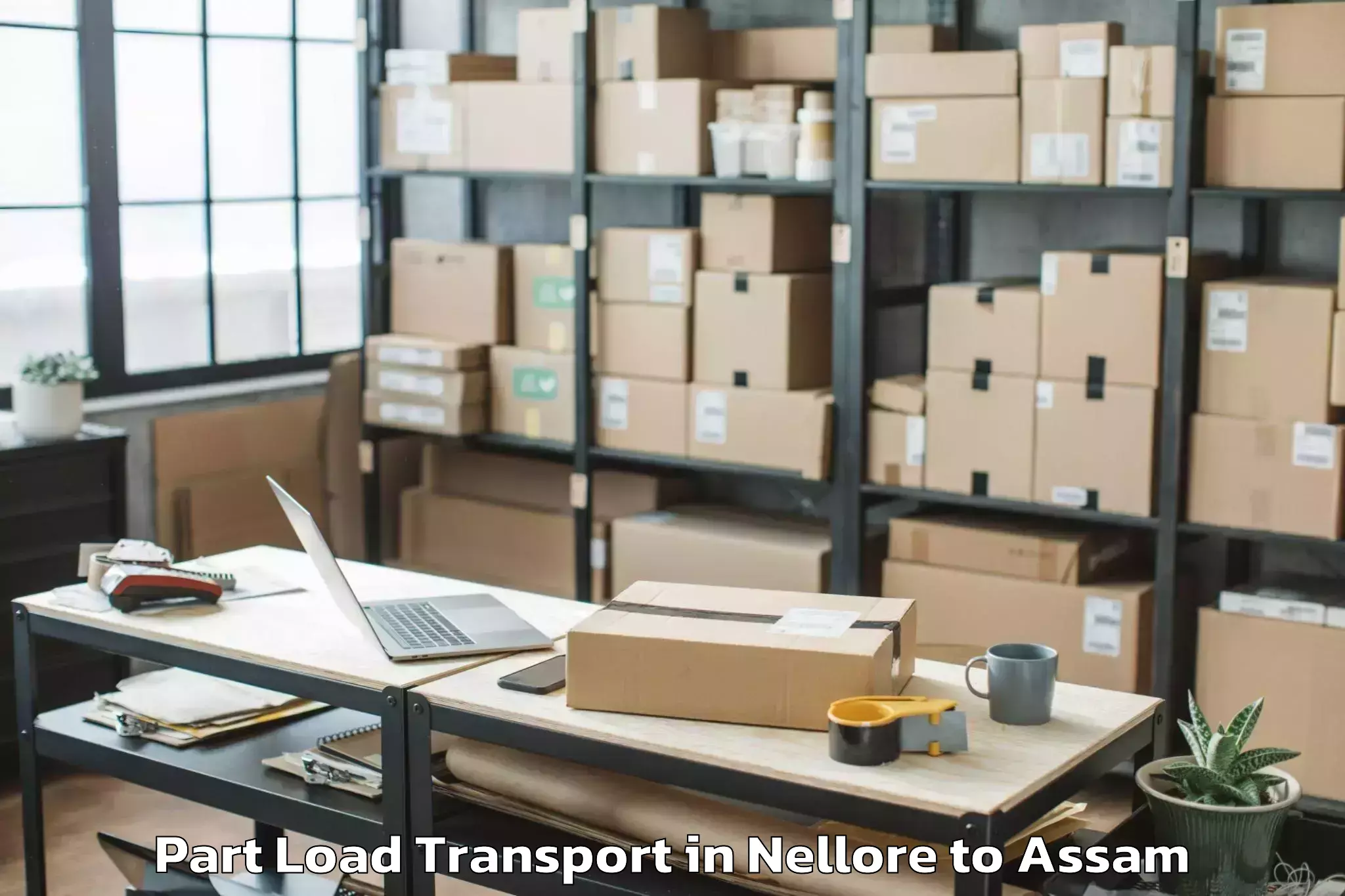 Easy Nellore to Laharighat Part Load Transport Booking